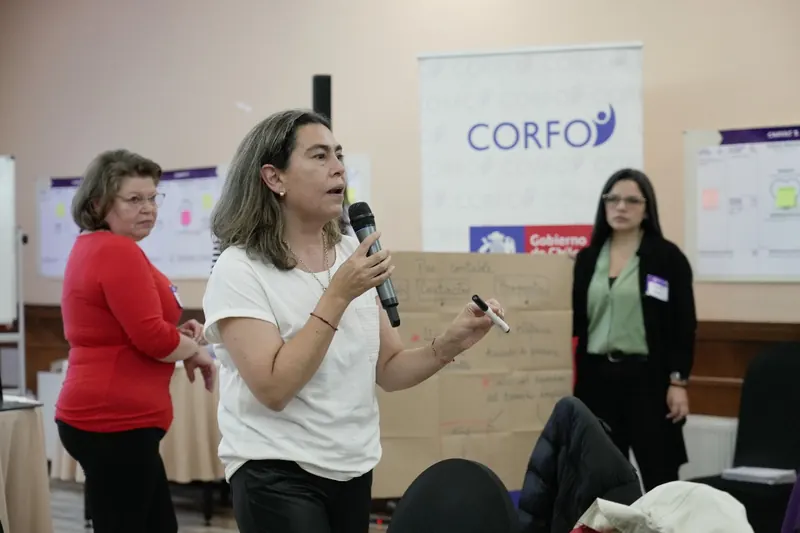Anita Bareyns como speaker en evento CORFO Región de Los Lagos